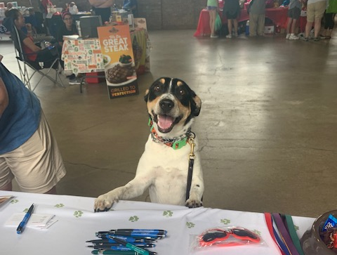 We Had a Fantastic Time at the Lake Co Pet Expo!